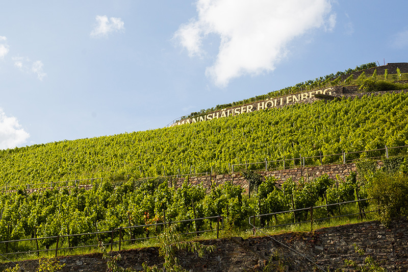 Ausblick Höllenberg